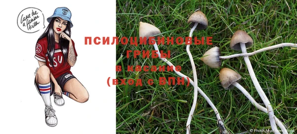 spice Струнино