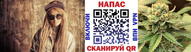 Бошки марихуана ГИДРОПОН  что такое наркотик  Теберда 